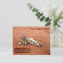Buscar rufus postales Canguro rojo