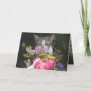 Buscar kittie tarjetas Humor