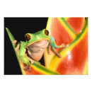 Buscar ocultar posters Verde