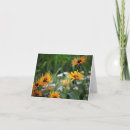 Buscar susans tarjetas Rudbeckia