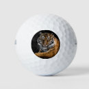 Buscar fan del golf Moderno
