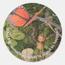 Buscar bellota pegatinas Adorable