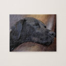 Buscar labrador negro puzzles Horizontal