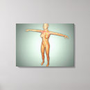 Buscar externas arte Anatomía