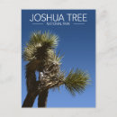Buscar joshua postales Senderismo