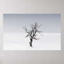 Buscar desnudos posters Árbol