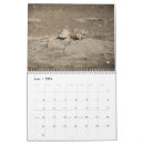 Buscar vida calendarios Naturaleza