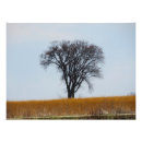 Buscar guerras indias posters Fotografía