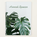 Buscar monster agendas Verano
