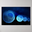 Buscar colesterol posters Color