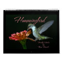 Buscar colibrí calendarios Naturaleza