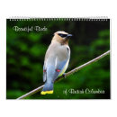 Buscar pájaros calendarios 2014