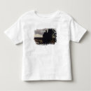 Buscar transilvania camisetas Paisaje