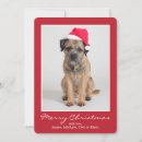 Buscar terrieres tarjetas Canino