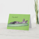 Buscar gato sorprendido tarjetas Para todos