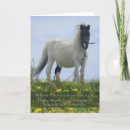 Buscar caballo mascotas Equino