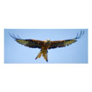 Buscar cometa roja Raptor