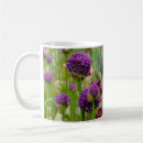 Buscar allium Flores