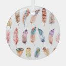 Buscar pluma adornos Ilustracion