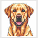 Buscar perro labrador pegatinas Cachorro