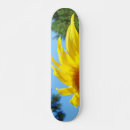 Buscar sunflower tablas de skate Para todos