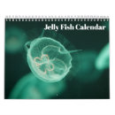 Buscar medusas calendarios Para todos