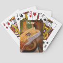 Buscar gecko barajas de cartas Animal