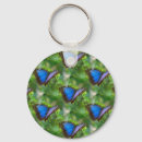 Buscar mariposas azules llaveros Naturaleza