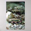 Buscar trucha de arroyo posters Lago