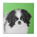 Buscar pinturas japonesas azulejos Negro