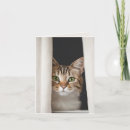Buscar felino tarjetas nota Tabú