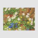 Buscar anémonas papel de seda Flores