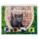Buscar gatos lindos calendarios Elegante