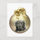 Buscar navidad labrador postales Recuperador de labrador