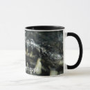 Buscar caimanes tazas Reptil
