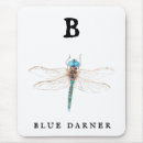 Buscar darner Libélula