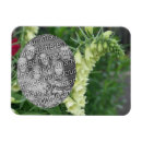 Buscar flores blancas imanes Para ella