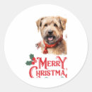 Buscar staffordshire bull terrier pegatinas Perro