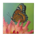 Buscar zinnia azulejos Rojo