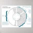 Buscar estaciones del año posters Cristiano