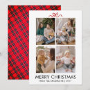 Buscar búfalo blanco tarjetas Familia