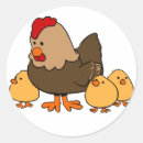 Buscar polluelos pegatinas Gallina
