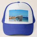 Buscar polar gorras Vida silvestre