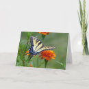 Buscar gato tarjetas de pascua Flores