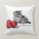 Buscar amortiguador del gato cojines Tabby