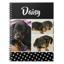 Buscar pet cuadernos Cachorro