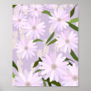 Buscar margarita africana posters Floral