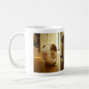 Buscar cavy tazas Cerdo
