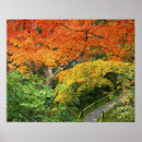 Buscar arashiyama Japón