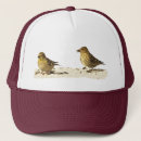 Buscar pino gorras Invierno